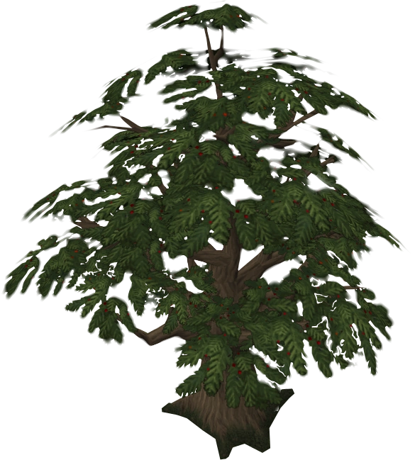 File:Yew tree.png