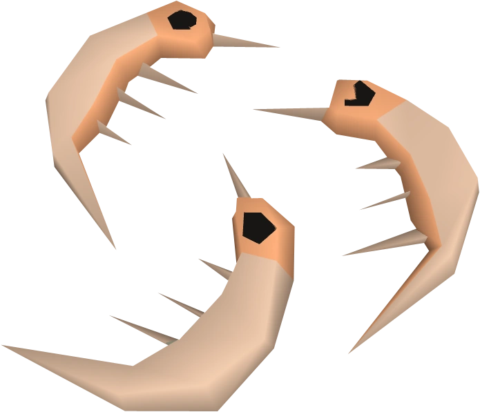 A detailed view of some raw shrimp