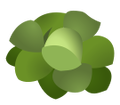 Thumbnail for version as of 16:16, November 13, 2009