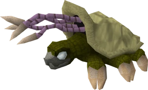 Warped tortoise