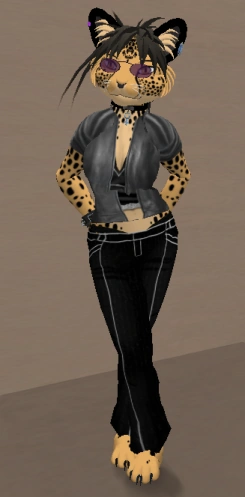 image:Zi_in_Box_small.png