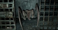 Needler.jpg