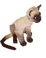 File:Siamese.jpg