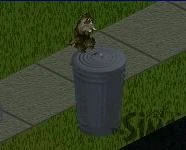 Image:El Bandito strikes.JPG