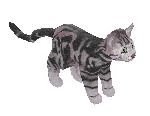 File:Waggles.jpg