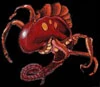 Image:spike.jpg