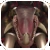 File:XhodoctoMale.png