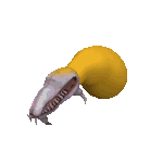 Image:Timmyray1221alt.gif