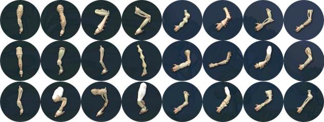Image:24 New Limbs.png