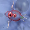 Dolb