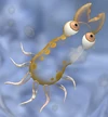 Goldy, the first carnivore cell you meet in the game