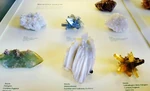 Collecties