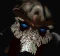 File:Tassadar SC1 HeadAnim1.gif