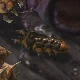 File:Larva SC2 DevGame1.jpg