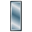Insignia image.