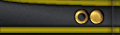 Rank insignia.