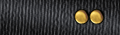 rank insignia
