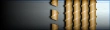 Sleeve insignia.