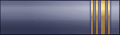 Sleeve insignia.