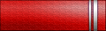 Sleeve insignia.
