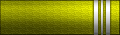 Sleeve insignia.