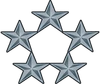 General of the army insignia pin.