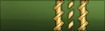Sleeve rank.