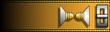 Shoulder strap rank insignia.