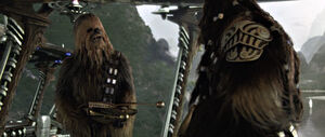Chewbacca (balra) s Tarfful (jobbra) a Kln Hbork idejn, a kashyyyki tkzetben.