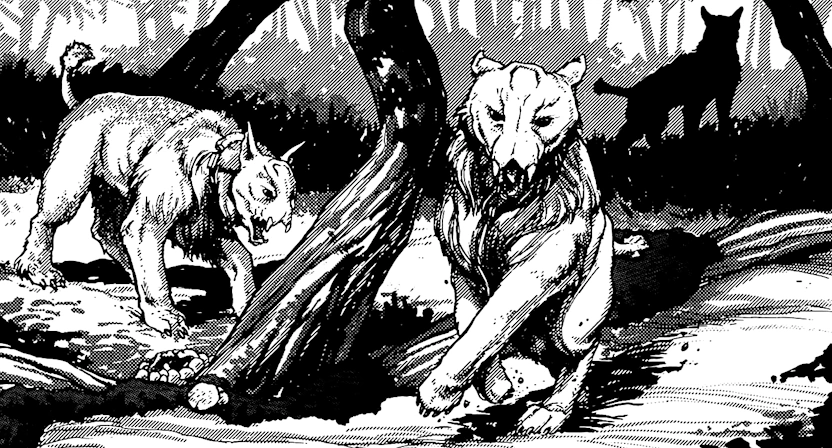 Garral.png