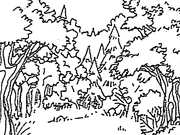 A binka forest