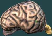 A brain.