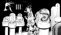 Sabodor, a Rakririan pet shop owner.