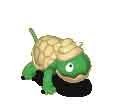 Image:Turtle.jpg