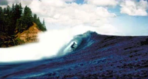 Whale Bay, Norfolk Island, 1986