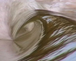 A screenshot from the movie.