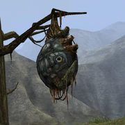 Warnet Nest