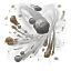 Scourge