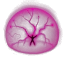 Shield Extender