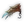 Pristine Atta Carapace