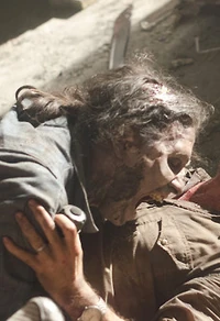 Caminante de la emboscada.jpg