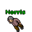 Image:Norris.gif
