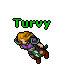 Image:Turvy.gif