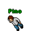 Image:Pino.gif