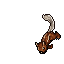 Image:Enraged Squirrel.gif