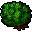 Bush.gif
