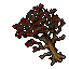 Image:Old Tree.gif
