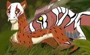 Qymaen (left) and his partner, Saka search the undergrowth for a victim