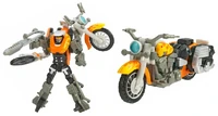 Beachcomber's violent-er cousin.