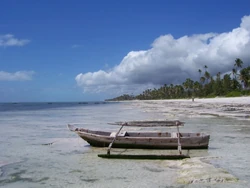 The iconic dhow used by Arab traders became a common feature of the Zanzibari coastline.
